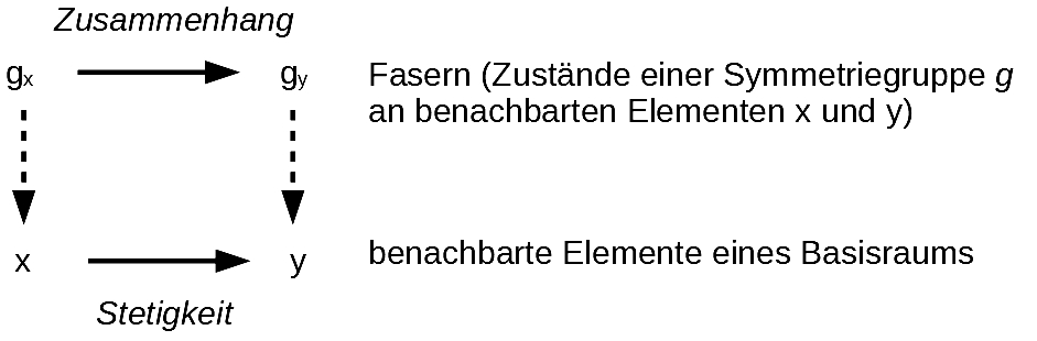 faserbündel Beispiel